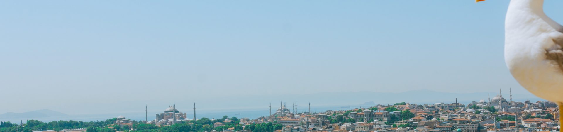 Bosporusstrædet